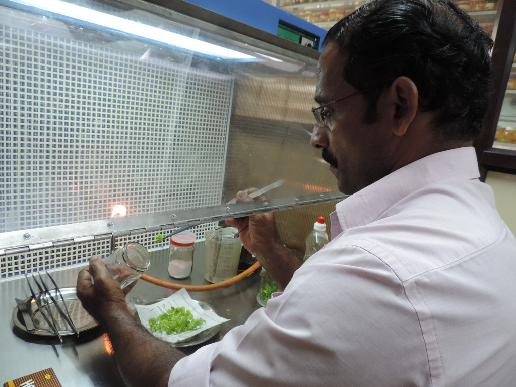 Hands On Tissue Culture
