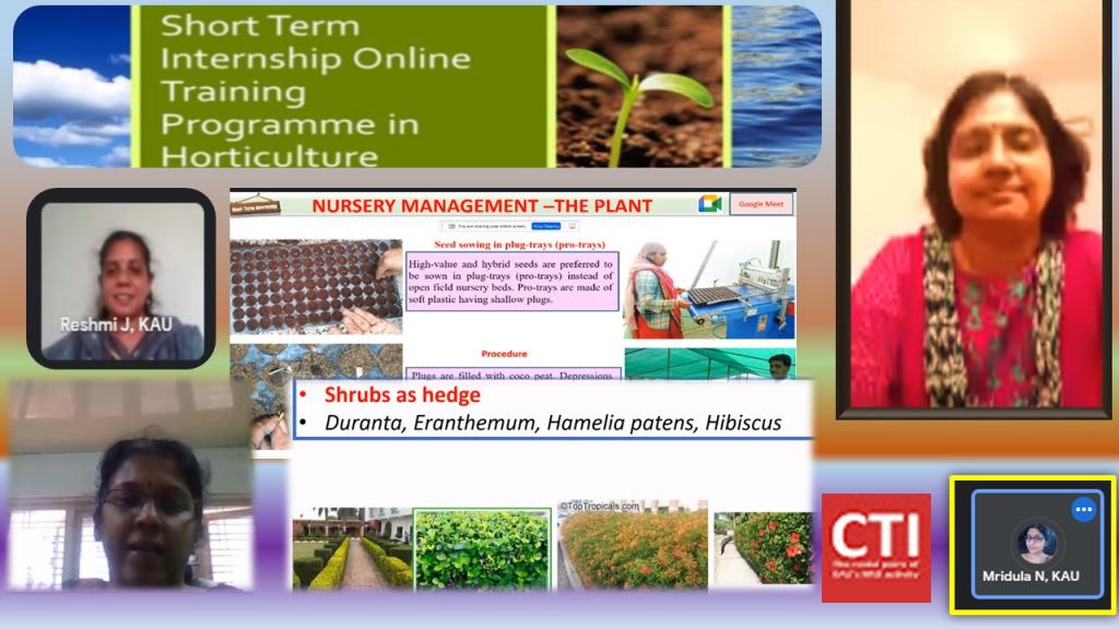 Glimpses from the different online sessions
